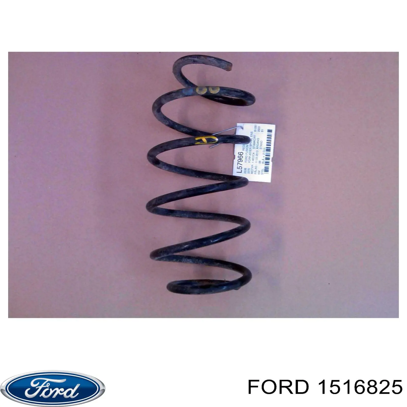 1516825 Ford пружина передня