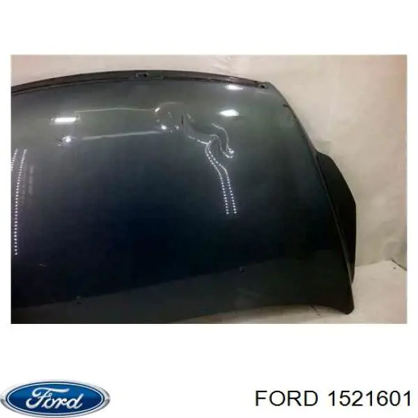 Купити 1521601 Ford Капот