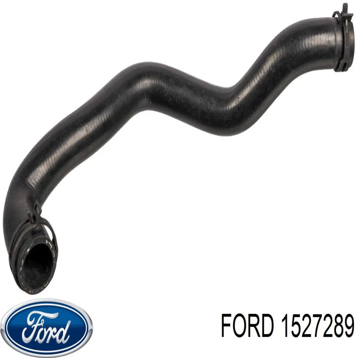 Шланг/патрубок радіатора охолодження, верхній Ford 1706844 ціна, від 9.98 USD