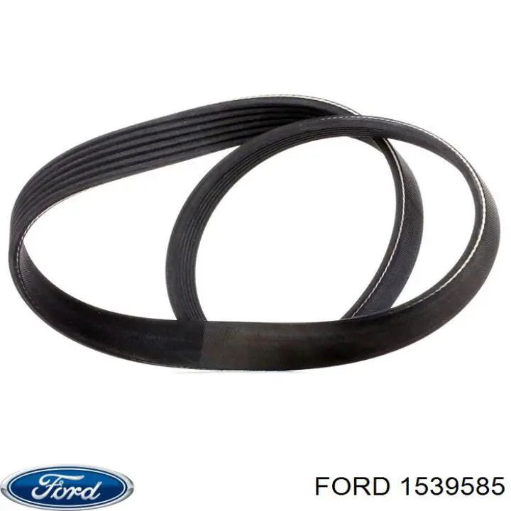 Купити 1539585 Ford Ремінь генератора