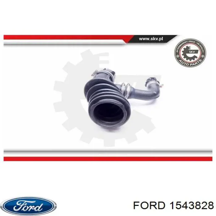 Купити 1543828 Ford Повітромір