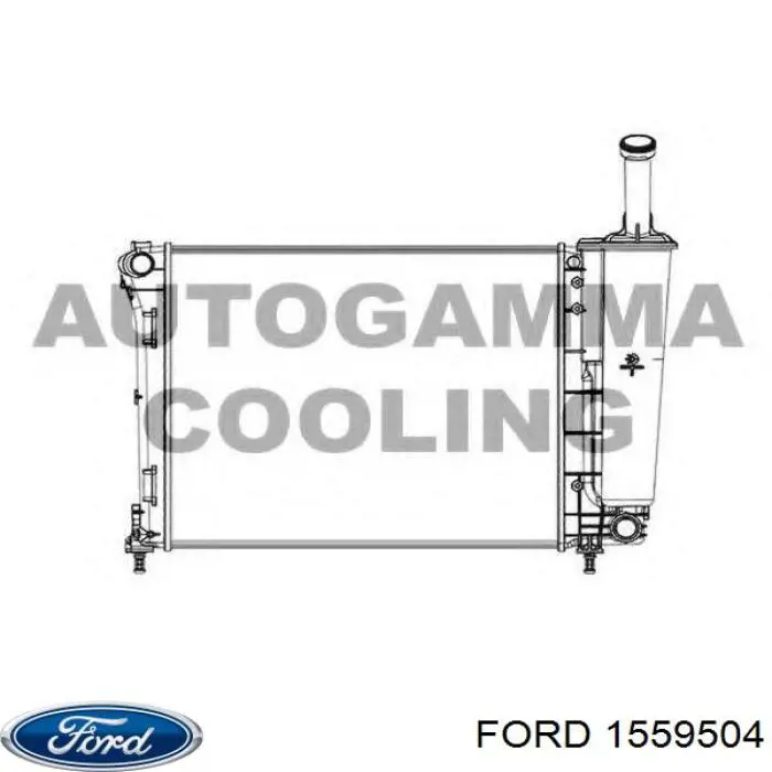 1559504 Ford радіатор охолодження двигуна