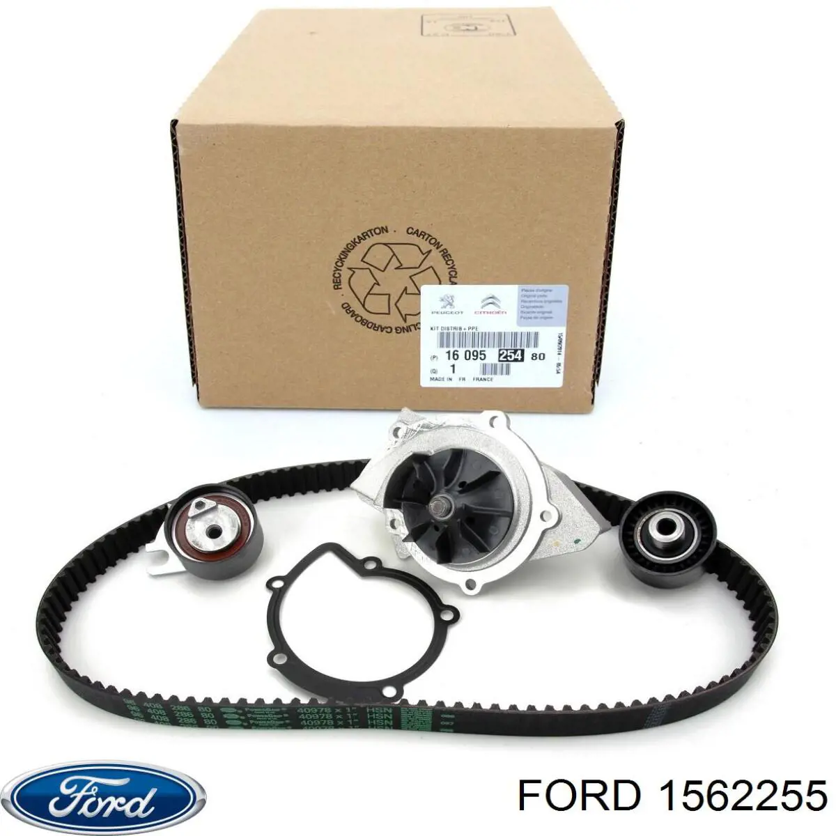 Купити 1562255 Ford Насос охолоджуючої рідини