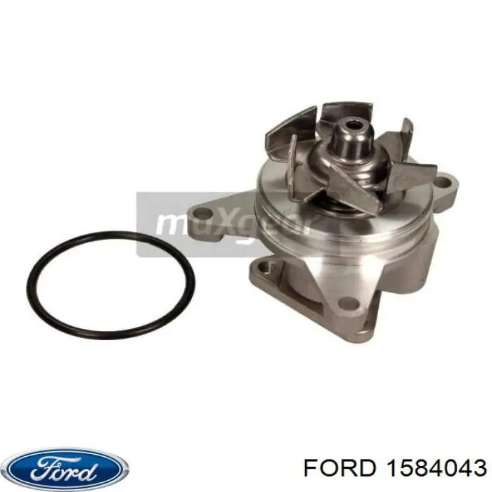 Помпа охолодження Ford 1584043 ціна, від 54.03 USD