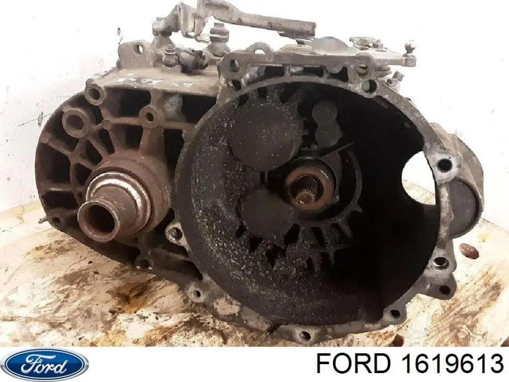 1619613 Ford 