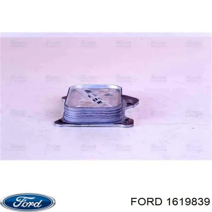 1619839 Ford радіатор масляний