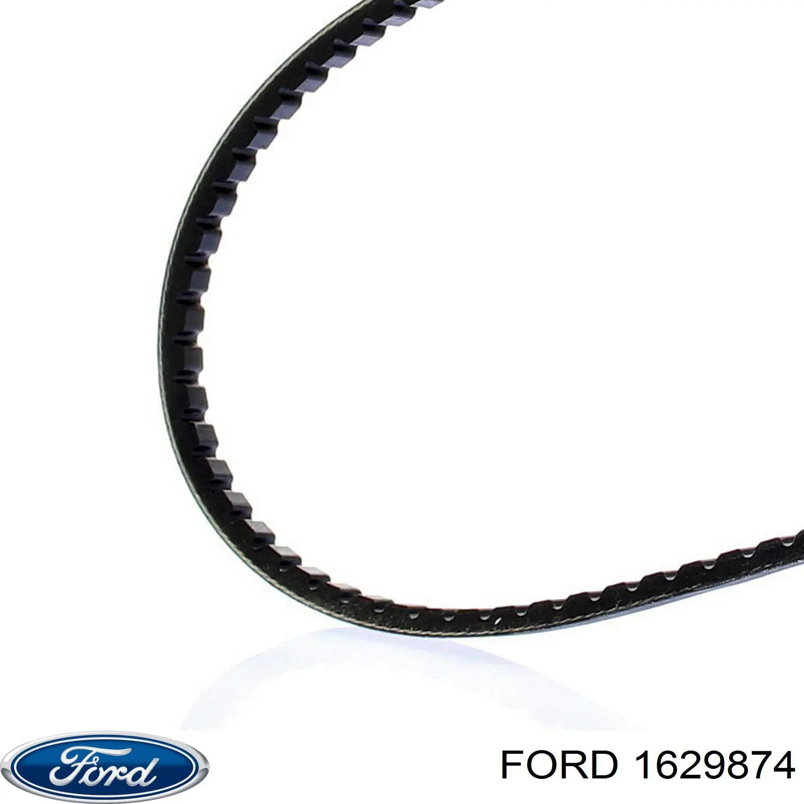 Купити 1629874 Ford Ремінь генератора