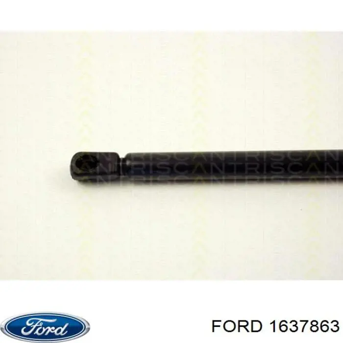 Амортизатор двері задньої Ford 1637863 ціна, від 9.82 USD