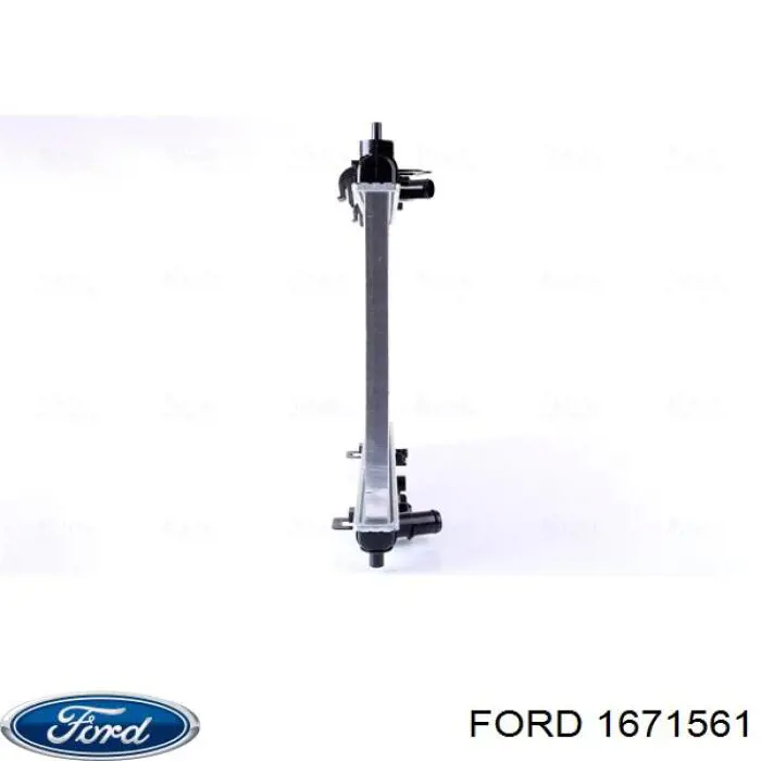 1671561 Ford радіатор охолодження двигуна