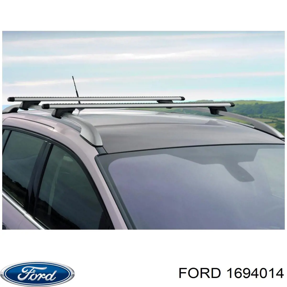 Гейлінгі на дах під багажник Ford 1694014 ціна, від 302.40 USD