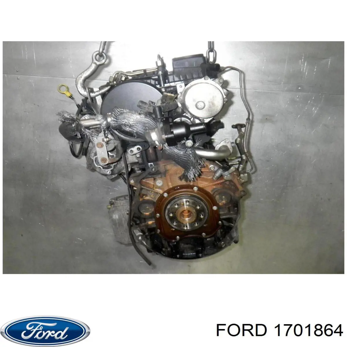 1701864 Ford Мотор в зборі