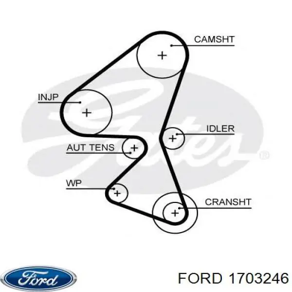 Купити 1703246 Ford Ремінь газорозподільного механізму