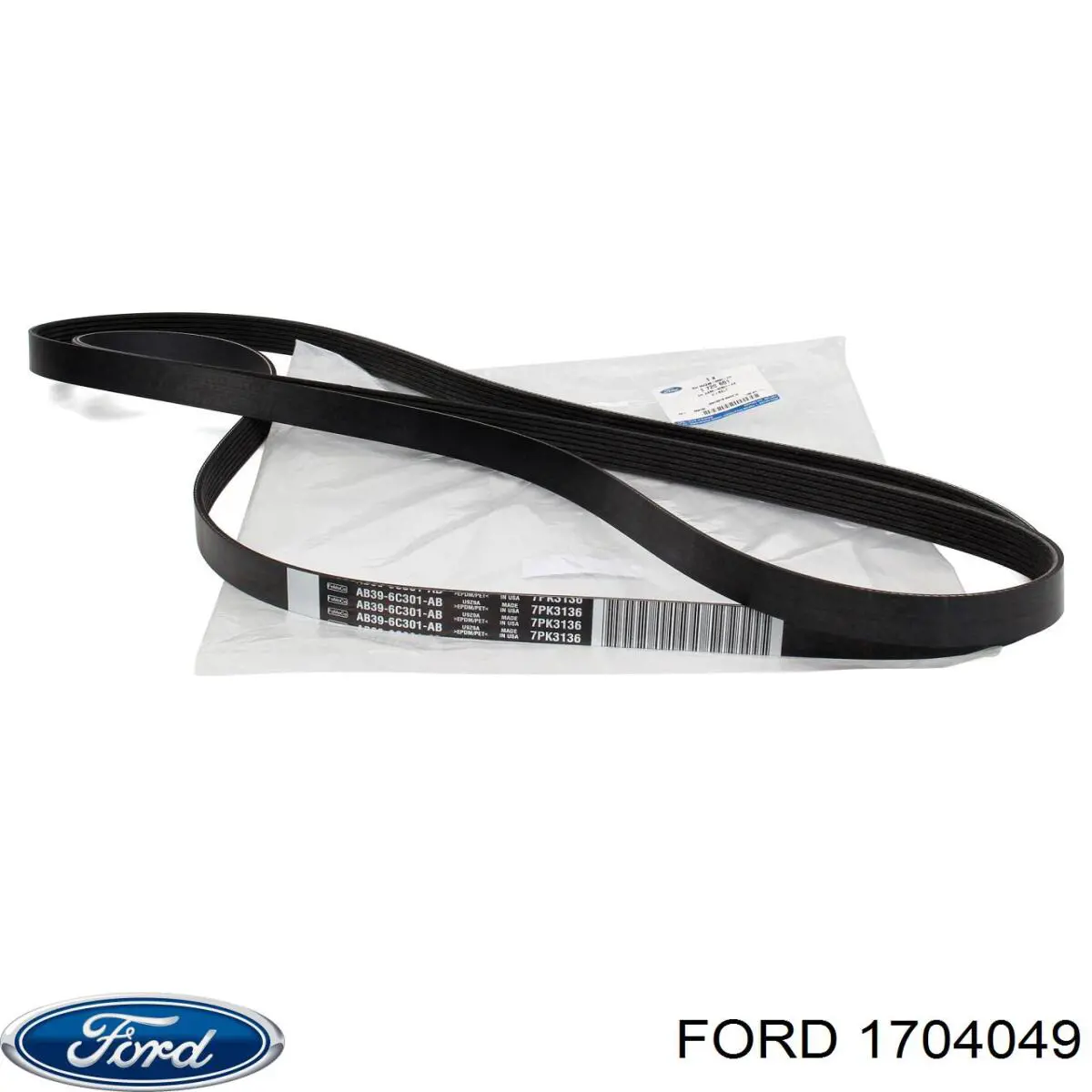 Купити 1704049 Ford Башмак натягувача ланцюга ГРМ