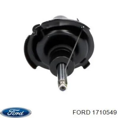 Купити Амортизатор передній Ford Focus III CB8