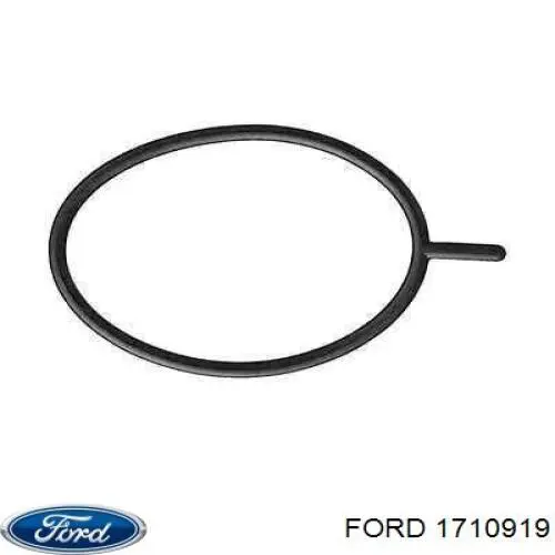 Купити 1710919 Ford Прокладка вакуумного насосу