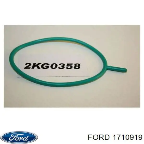 1710919 Ford прокладка вакуумного насосу