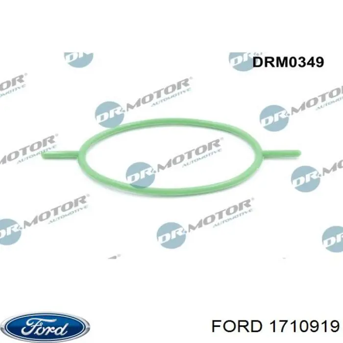 Прокладка вакуумного насосу Ford 1710919 ціна, від 1.63 USD