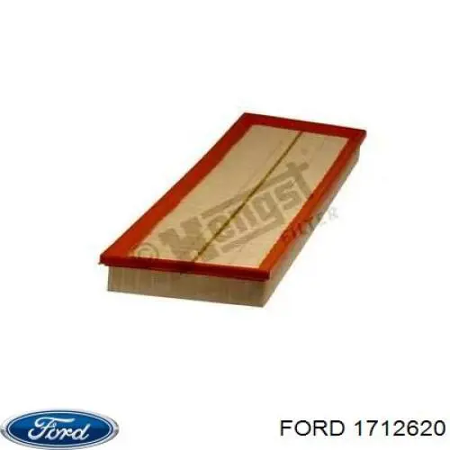 1704175 Ford шланг розширювального бачка, нижній