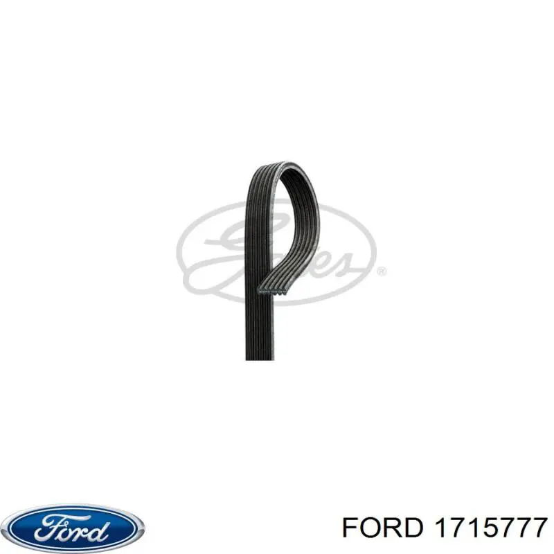Клиновий ремінь Ford 1715777 ціна, від 35.61 USD
