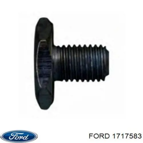 Купити 1717583 Ford Болт кріплення форсунки