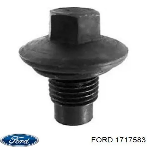 Купити 1717583 Ford Болт кріплення форсунки