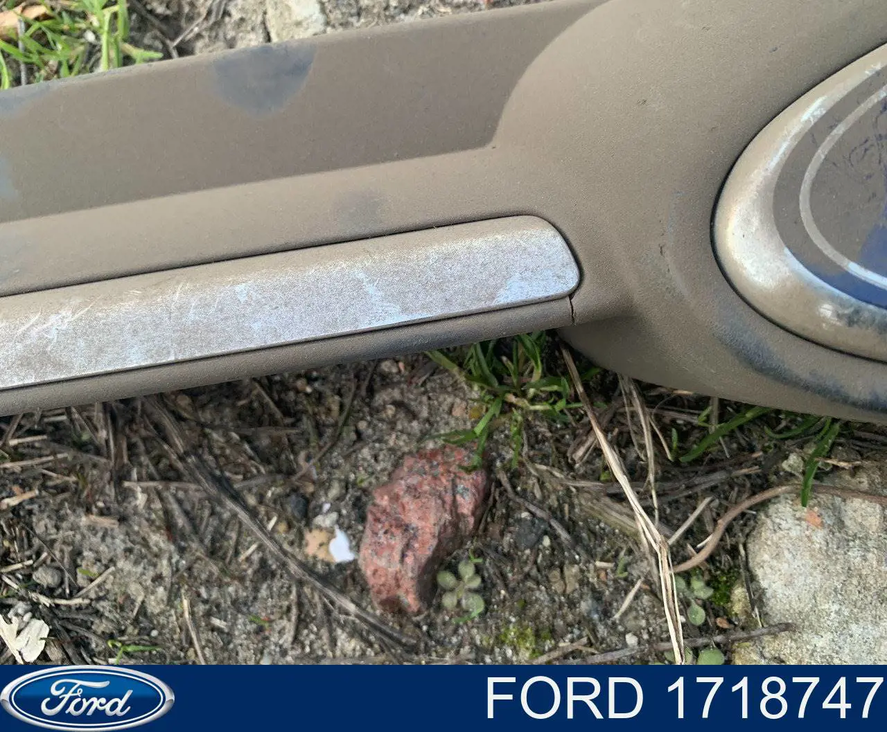 Купити 1718747 Ford Захисна решітка радіатора