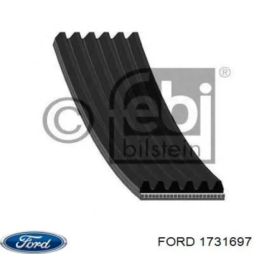 Купити 1731697 Ford Ремінь генератора