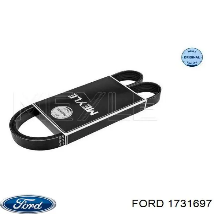 Клиновий ремінь Ford 1731697 ціна, від 10.59 USD