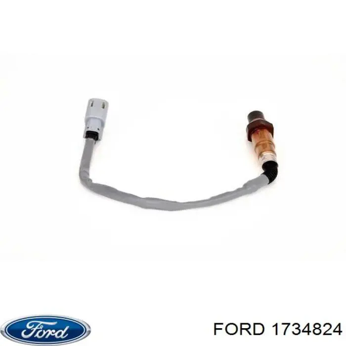  1734824 Ford