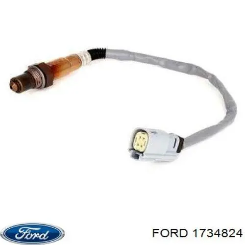1734824 Ford 