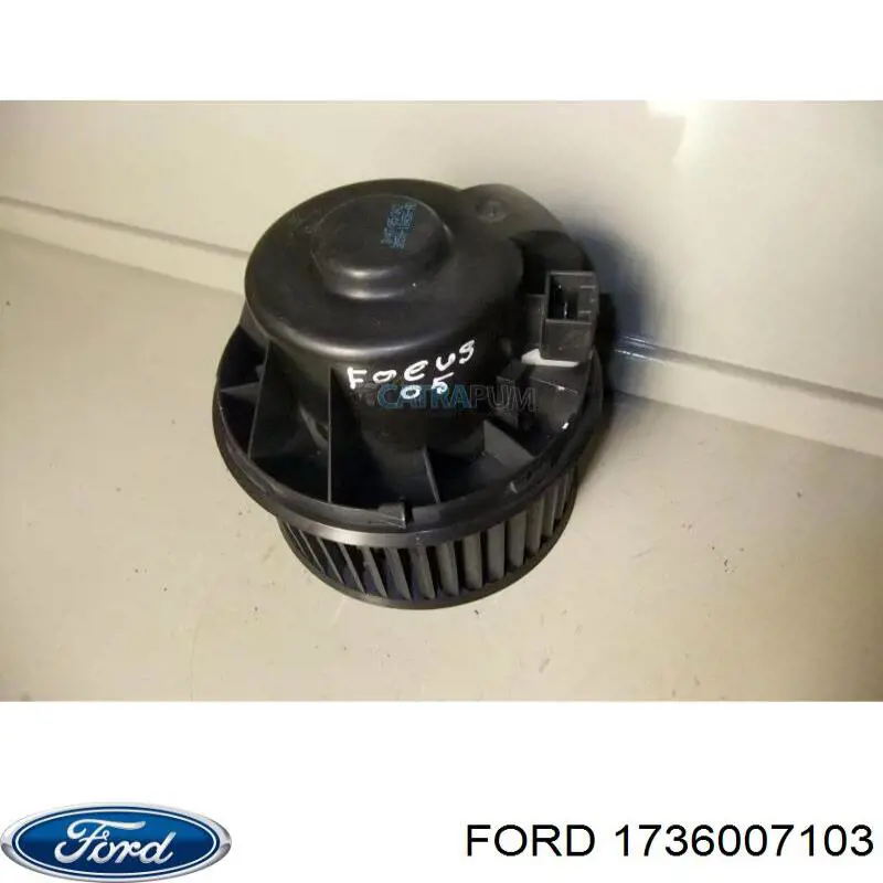 1736007103 Ford 