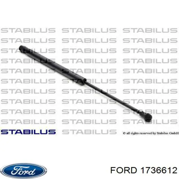 1736612 Ford Амортизатор кришки багажника / двері 3/5-ї задньої
