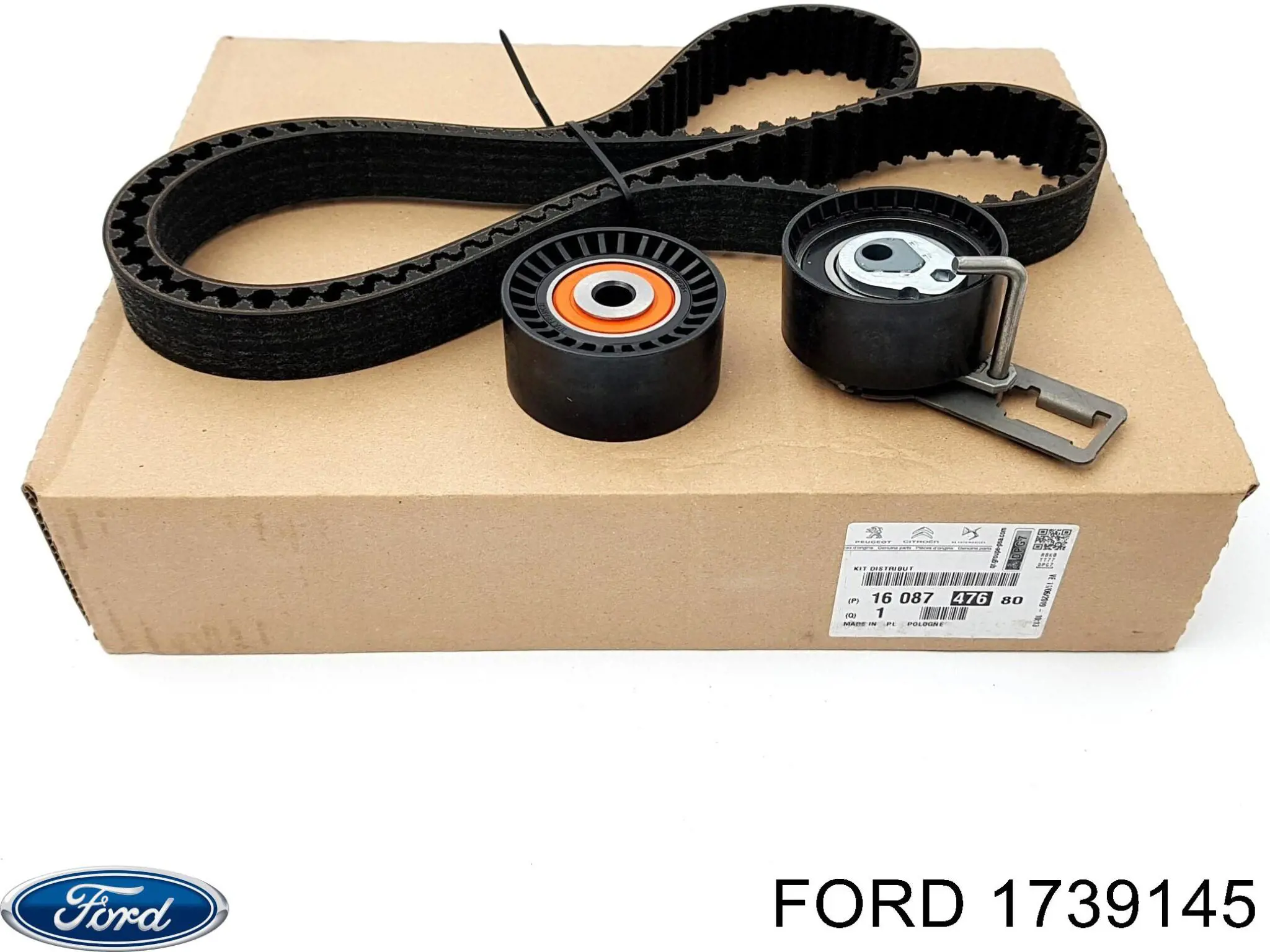 Купити 1739145 Ford Натягувач ременя ГРМ
