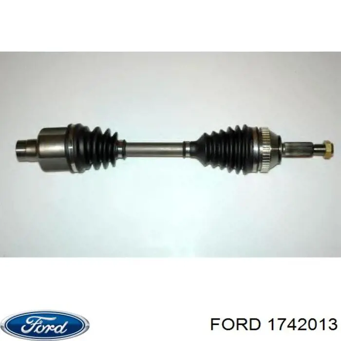 1742013 Ford 