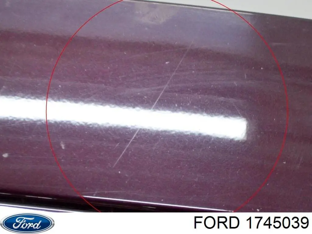 Двері задні, багажні (3-і)/(5-і) (ляда) Ford Fiesta 6 (CB1) (Форд Фієста)