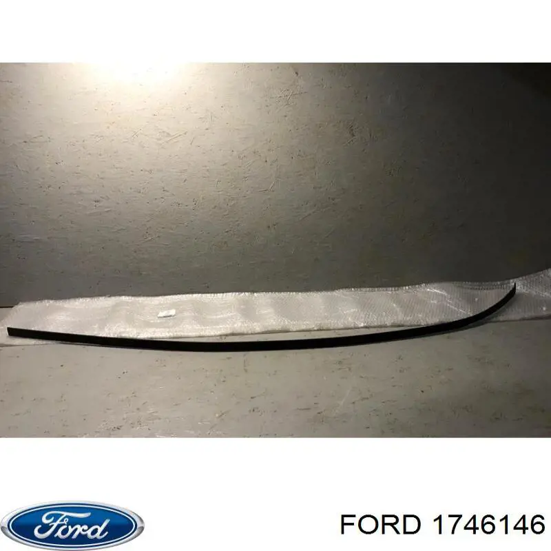 1746146 Ford Молдинг даху, лівий