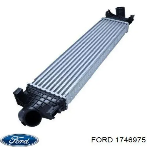 Купити 1746975 Ford Радіатор интеркуллера