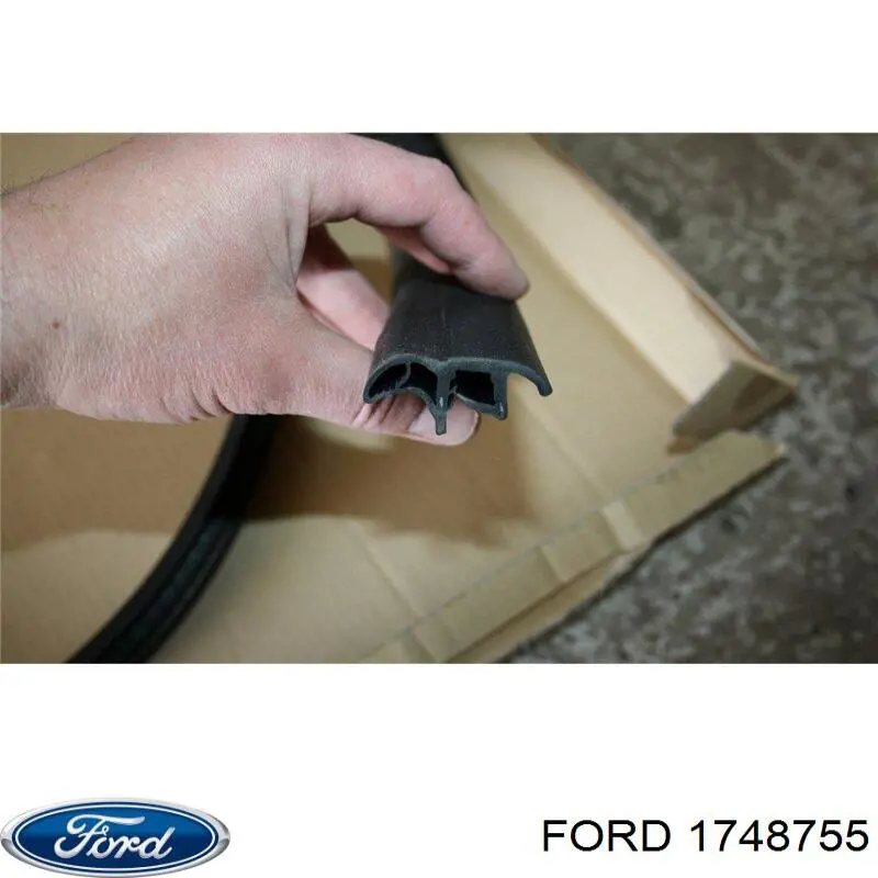 BM51N25324AF Ford 