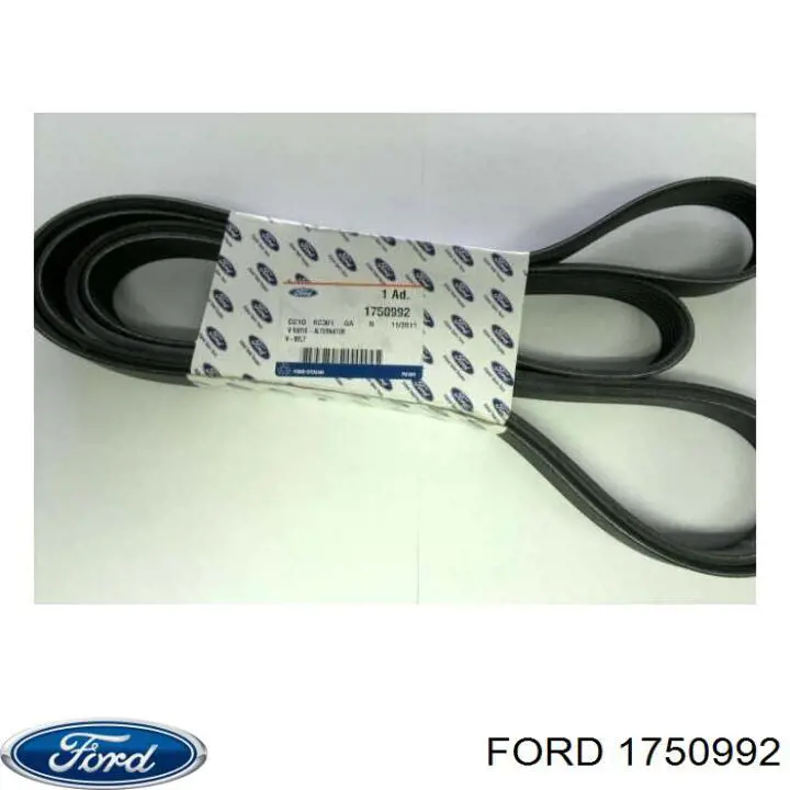 Купити 1750992 Ford Ремінь генератора
