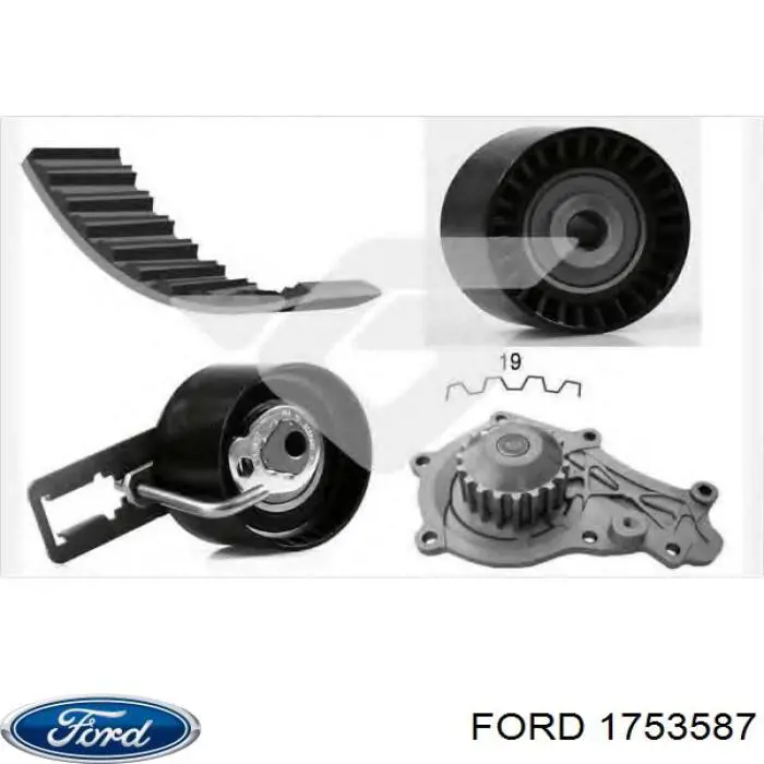 Купити 1753587 Ford ГРМ ремень
