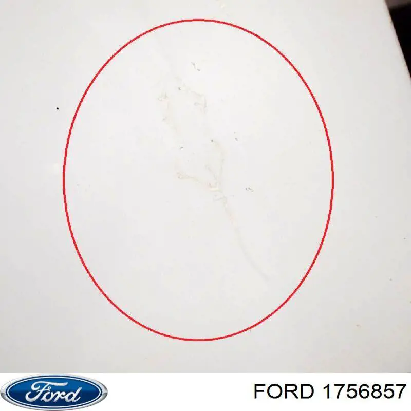 Купити 1756857 Ford Двері фургона задні, розпашні, праві