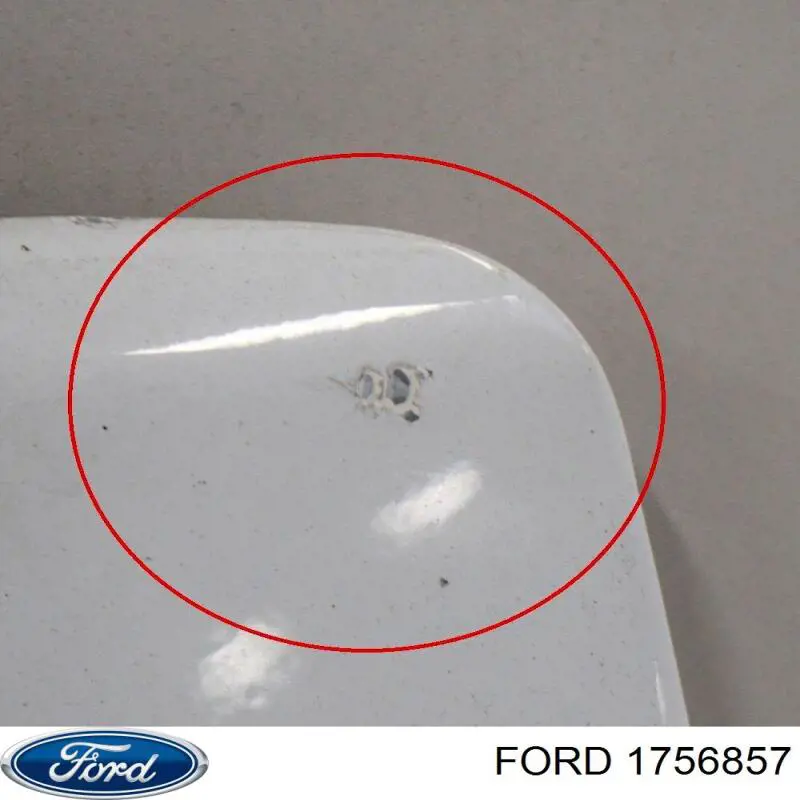 Двері фургона задні, розпашні, праві 1756857 Ford