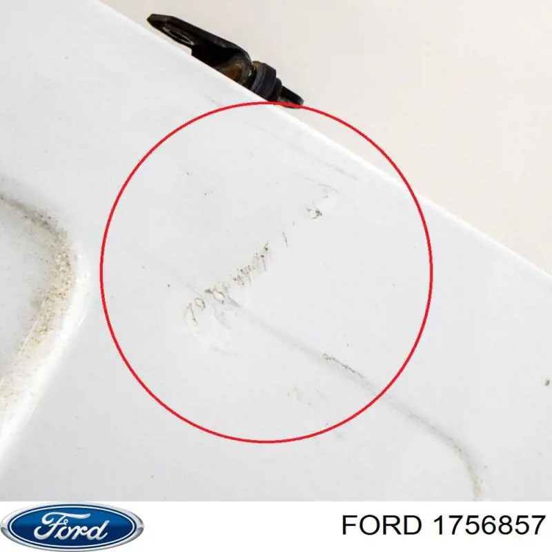 Двері фургона задні, распашні, праві Ford 1756857