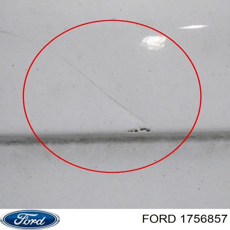 Двері фургона задні, розпашні, праві Ford 1756857 ціна, від 50.11 USD