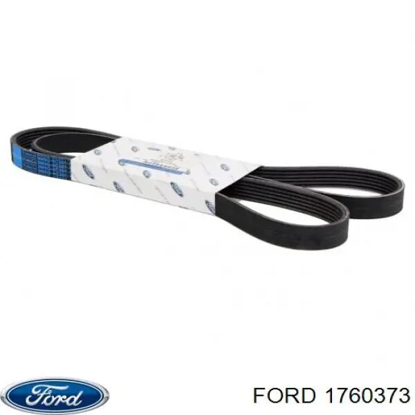 Купити 1760373 Ford Ремінь генератора