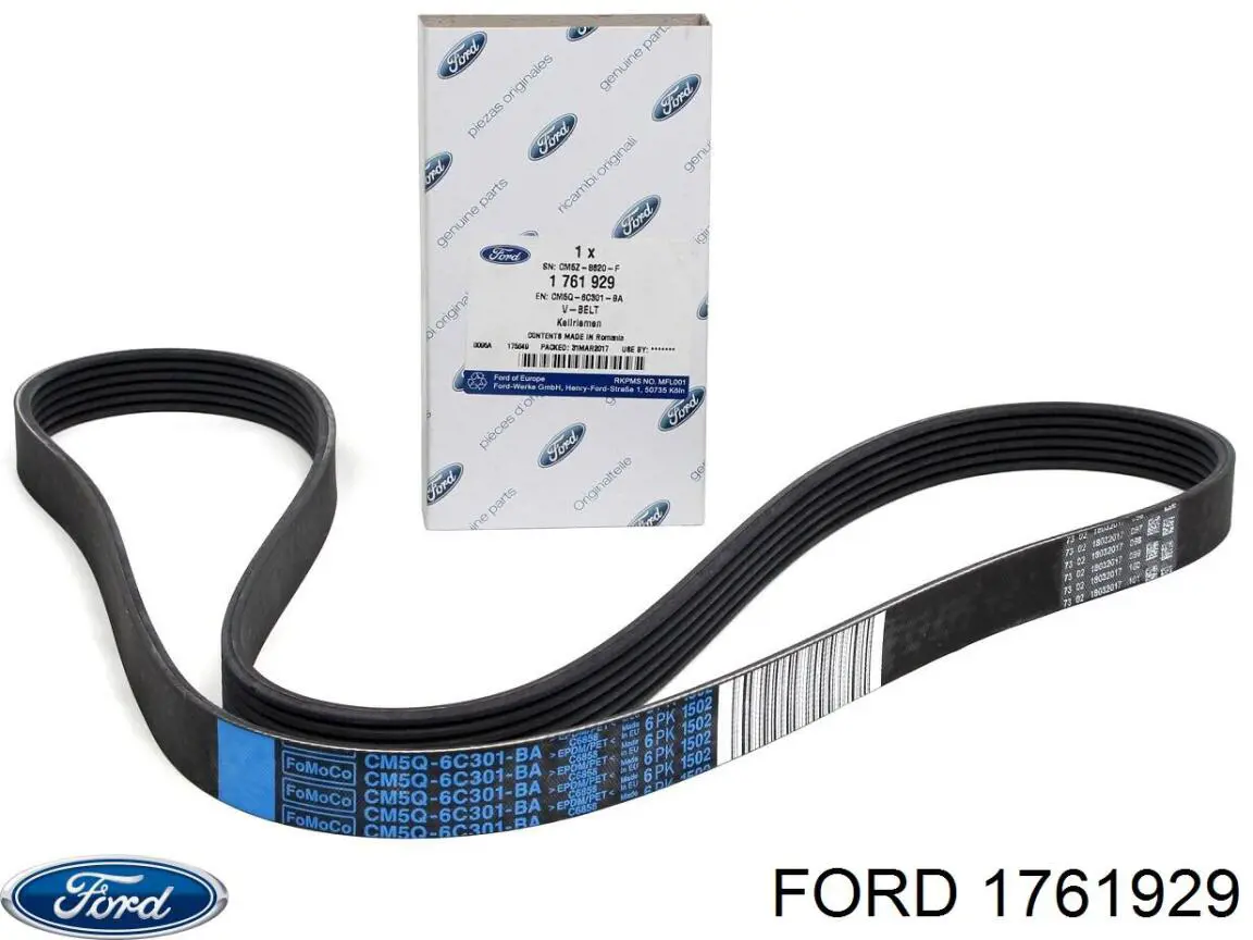 Купити 1761929 Ford Ремінь генератора