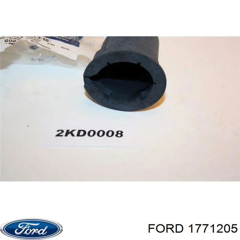  BK21V16F016AB Ford