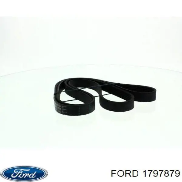 Купити 1797879 Ford Ремінь генератора