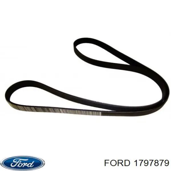 Клиновий ремінь Ford 1797879 ціна, від 16.13 USD