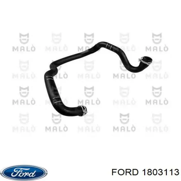 Купити 1684947 Ford Шланг/патрубок радіатора охолодження, нижній